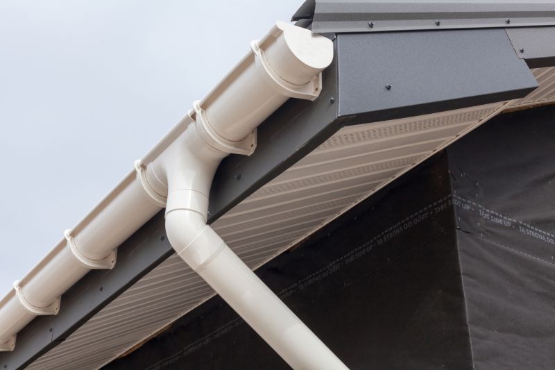 Garage Fascia Replacement in Conroe, TX