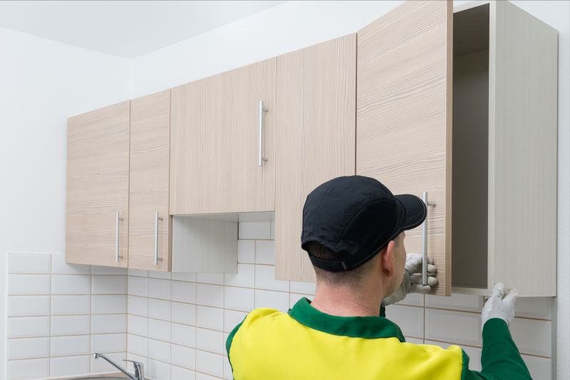 Rustic Cabinets Installation in Cincinnati, OH